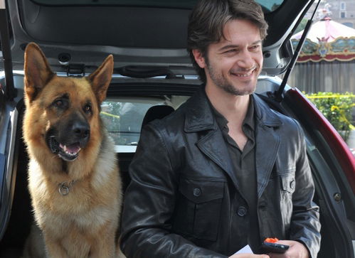 Rex, stasera su RaiDue la quarta serie con Ettore Bassi: intervista e trama – FOTO preview