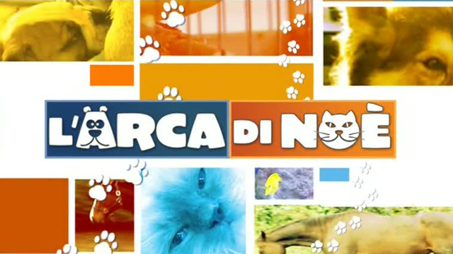 L’Arca di Noè, oggi la nuova puntata: reportage sugli animali esotici preview