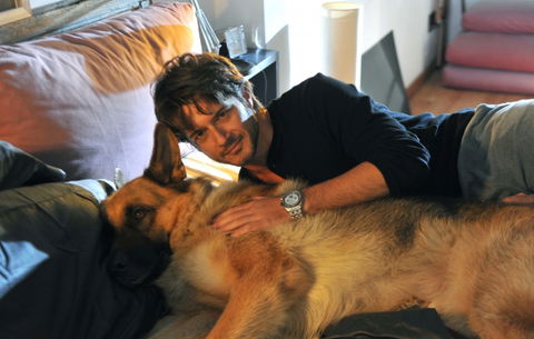 Rex: la quarta stagione Italiana con Ettore Bassi a partire dall’8 marzo su RaiDue preview