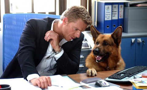 Rex, da stasera su RaiDue le repliche con il commissario Lorenzo Fabbri, interpretato da Kaspar Capparoni preview