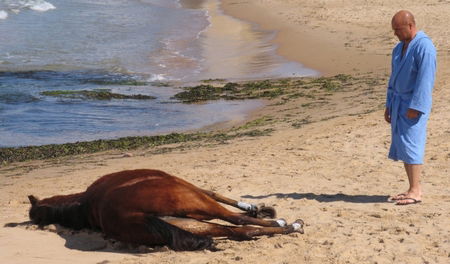Il Commissario Montalbano, La pista di sabbia stasera su RaiUno: trama preview