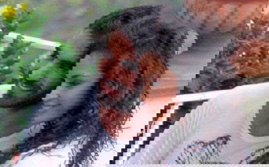 Raffaella Fico ritrova l’amore con Gianluca Tozzi, mentre Balotelli vorrebbe vedere la figlia – FOTO article-post