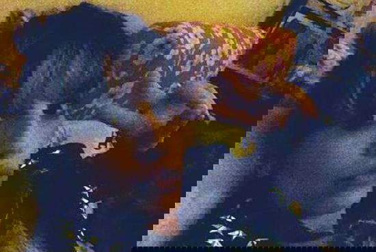 Emma Marrone: il testo del nuovo inedito, La mia città presente in Schiena VS Schiena preview