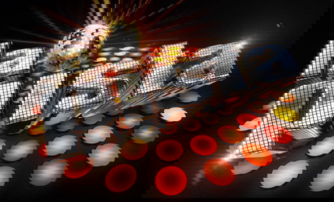 La Pista, stasera la nuova puntata su RaiUno con Flavio Insinna: ecco le esibizioni preview