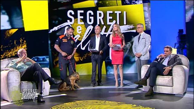 Ascolti Tv, 21 giugno 2014: Flightplan – Mistero in volo a 3,3 mln; Segreti e Delitti a 3,1 mln preview
