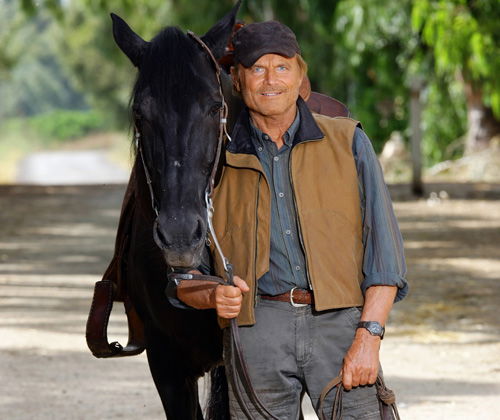 Ascolti Tv, 16 giugno 2014: L’uomo che cavalcava nel buio a 3,8 mln; Chi l’ha visto? su Yara Gambirasio a 3 mln preview