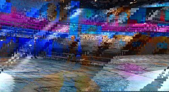 Amici 14, anticipazioni seconda puntata 29 novembre: Alessandra Amoroso ospite, si scusa con i fan preview