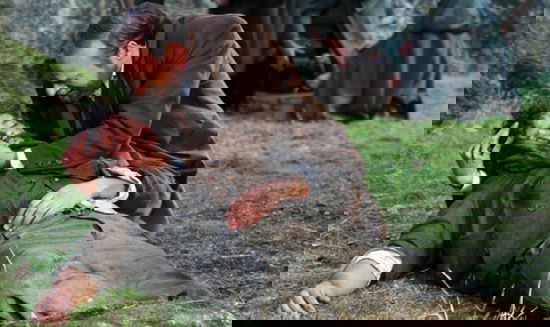 Il Segreto, anticipazioni puntata 11 dicembre 2014: Sebastian muore minacciando il padre preview