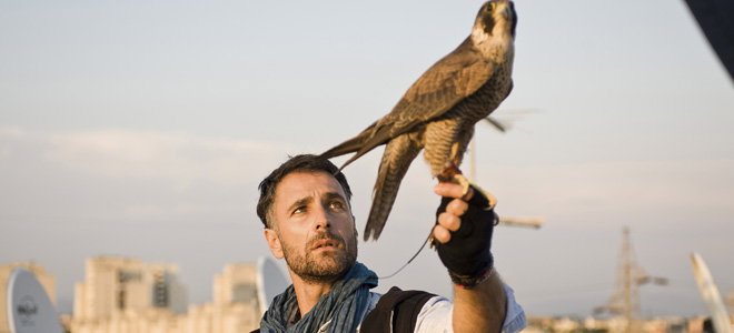 Ascolti Tv, 5 gennaio 2015: Ultimo – L’occhio del falco a 3,1 mln; Le avventure di Peter Pan a 2,9 mln preview