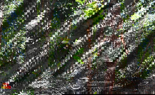 Isola dei Famosi 2015: Cecilia Rodriguez a Playa Desnuda e i messaggi della sorella Belen – FOTO preview