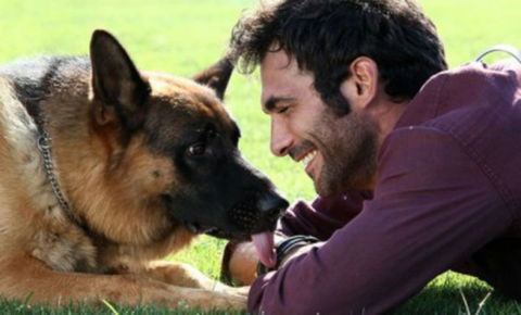 Anticipazioni Rex, ottava stagione: da stasera 27 febbraio su RaiDue, anticipazioni e replica streaming preview