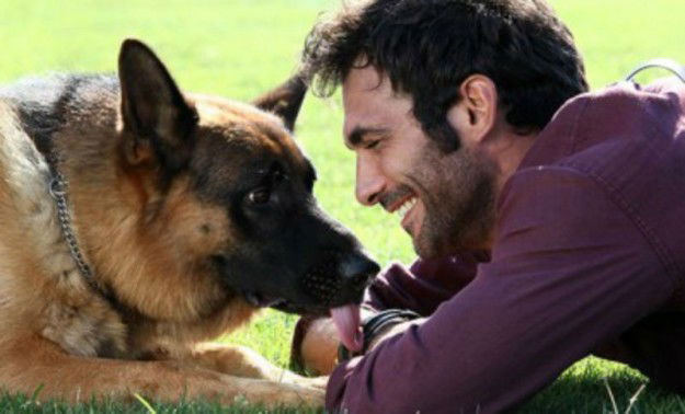 Rex, stasera 6 marzo su RaiDue: anticipazioni e replica streaming preview