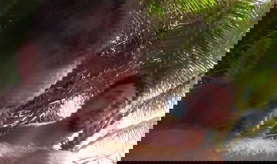 Isola dei Famosi 2015, lite tra Rachida e Valerio Scanu: “Sei pazza!”, Rocco Siffredi la difende preview