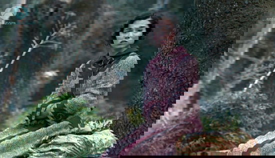 Anticipazioni Il Segreto, trama settimanale dal 30 marzo al 4 aprile 2015: replica streaming article-post