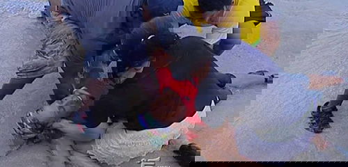 Ascolti Tv, 2 marzo 2015: L’Isola dei Famosi 2015 a 5 mln; Mai Stati Uniti a 4,3 mln preview