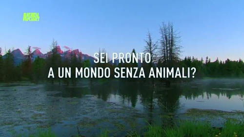 Animal Planet: sabato 21 novembre si spegne per protestare contro l’estinzione delle specie animali preview