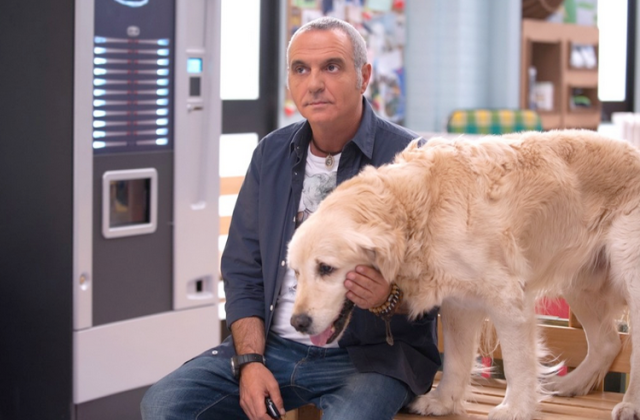 Tutti insieme all’improvviso, anticipazioni 29 gennaio 2016: trama episodio, info streaming preview