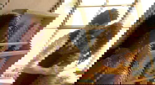 Il Segreto, anticipazioni dal 27 giugno all’1 luglio 2016: Bosco scopre che Ines allatta Beltran preview