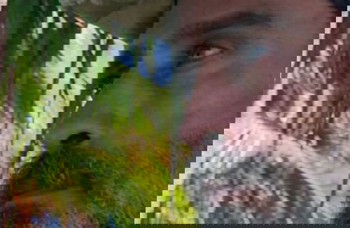 Gossip Tv: l’addio delle Veline, la bufala di Pechino Express, Raz Degan ad Amici, Paola Barale conduttrice su Italia 1? preview