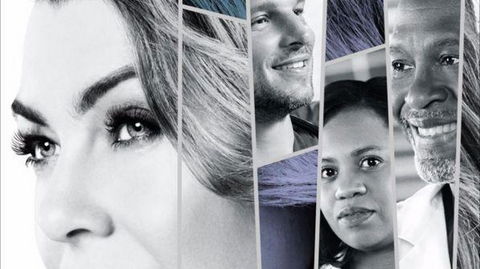 Grey’s Anatomy, anticipazioni: il poster della 14esima stagione, svelate le prime novità preview
