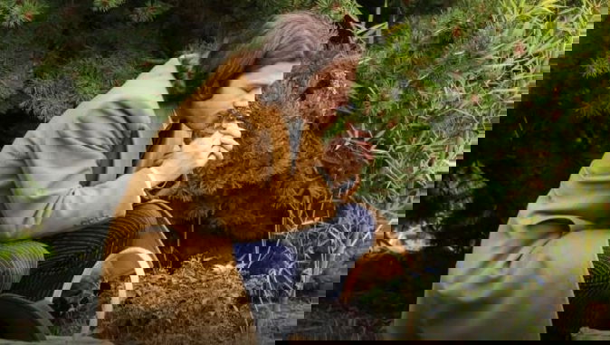 Il Segreto, anticipazioni dal 9 al 14 settembre: Candela muore, Ismael supplica il perdono del padre preview