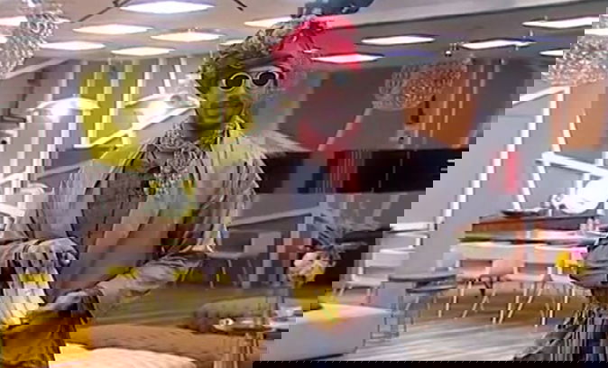 Ignazio imita Cristiano, Grande Fratello Vip 2: ‘Sei così gay che se ti vede Cecilia ti lascia!’ (Video) preview