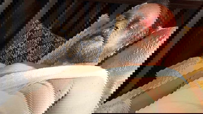 Il Segreto, anticipazioni puntata serale 22 novembre: Raimundo in fin di vita, Emilia denuncia Francisca preview