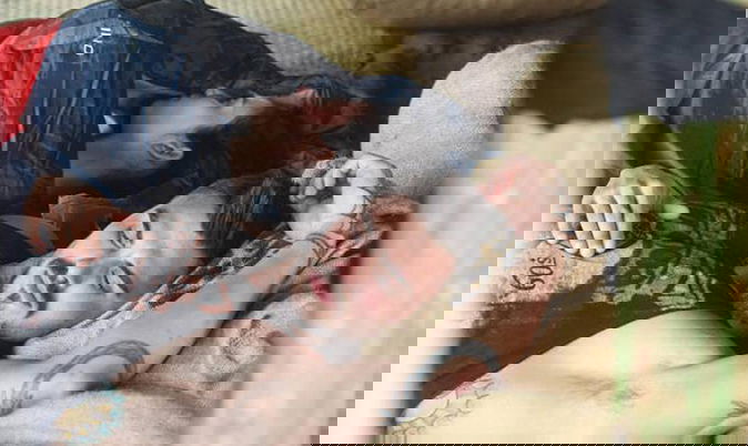 Isola dei Famosi 13, il mistero del passaporto: Paola odiata dalle donne? Francesco Monte gioisce preview