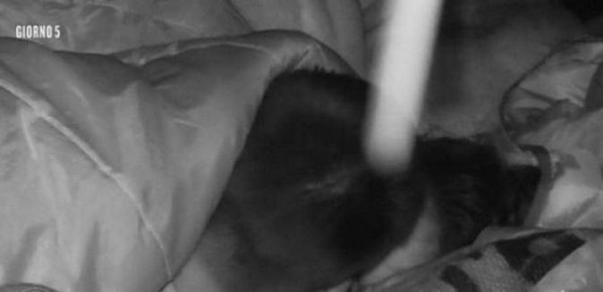 Isola dei Famosi 13, news: Francesco Monte bacia Paola Di Benedetto! Vendetta all’ex Cecilia Rodriguez? preview