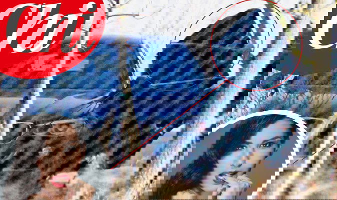 Gossip News, Elisabetta Gregoraci e le nuove foto segrete con Francesco Bettuzzi: le ultime novità preview