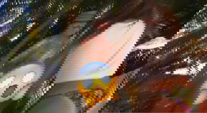 Isola dei Famosi, Filippo Nardi si spoglia (tutto) davanti a Bianca Atzei: due nuovi naufraghi nel cast preview