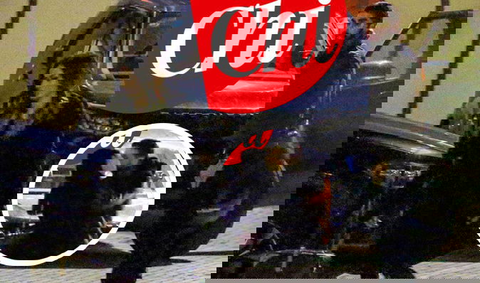 Gossip News, Filippo Magnini e Giorgia Palmas: ecco il bacio infuocato avvinghiati nella notte preview