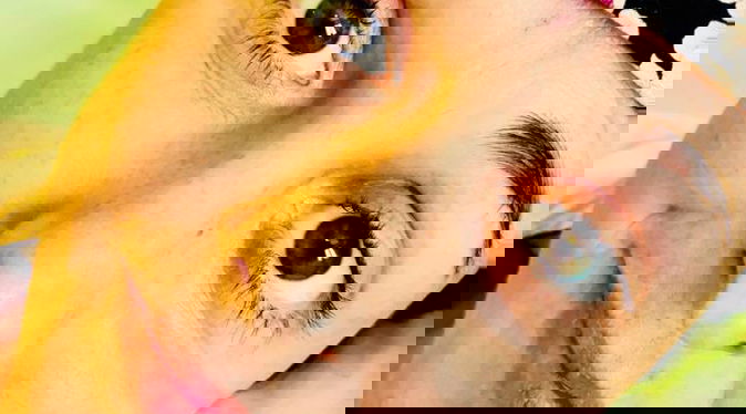 Nadia Toffa morta, la fake news che fa indignare, ma lei la prende con ironia: “I social funzionano anche dall’aldilà” preview