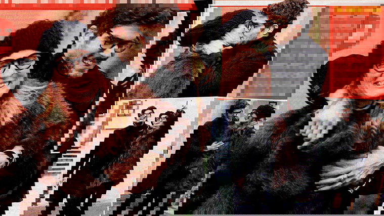 Elia Fongaro e Jane Alexander fanno sul serio: le foto insieme dopo i presunti tradimenti di lui… preview