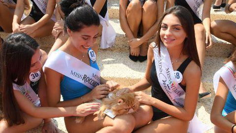 Miss Italia compie 80 anni, tutte le curiosità di questa edizione in onda su Rai1 preview
