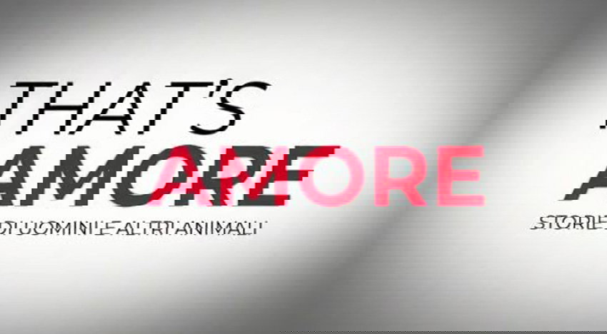 That’s amore, Duccio Forzano racconta l’amicizia tra animali e umani article-post