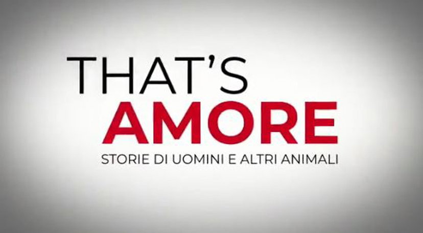 That’s amore, Duccio Forzano racconta l’amicizia tra animali e umani preview