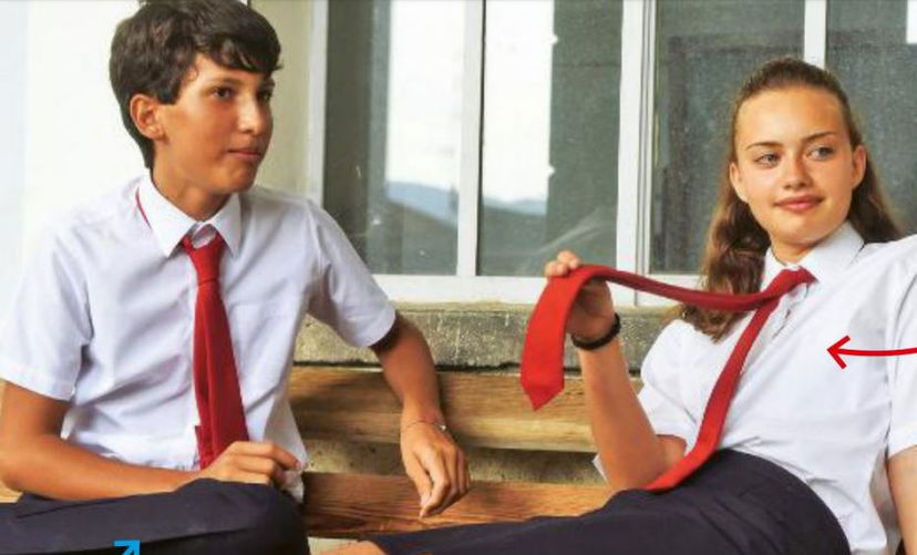 Francesco Cardamone, Il Collegio 4: reazione dei veri prof dopo la sua esperienza in TV preview