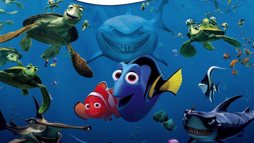 Alla ricerca di Nemo, film oggi 23 dicembre su Rai2: trama e curiosità preview