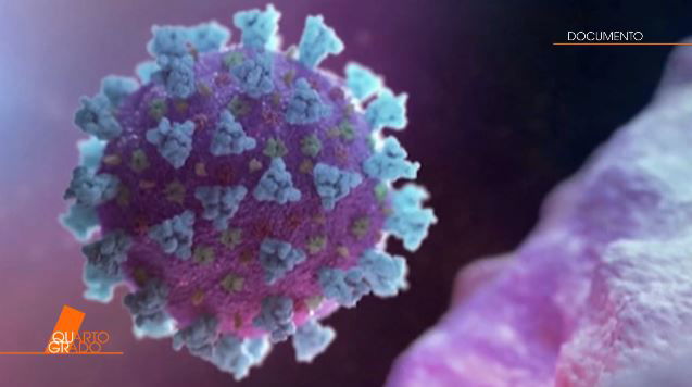 Coronavirus ultime notizie: verso il picco? Novità vaccino a Quarto Grado preview