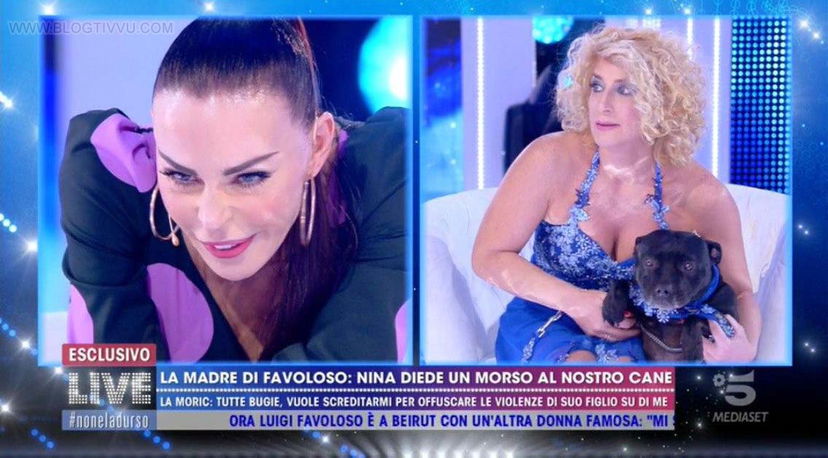 Nina Moric ha morso Baghera? Cane mamma Luigi Favoloso a Live: “Vorrei cantarle una canzone” preview