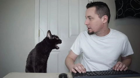 Steve Cash si è suicidato: Youtuber si è sparato a 40 anni, soffriva di bipolarismo e depressione preview