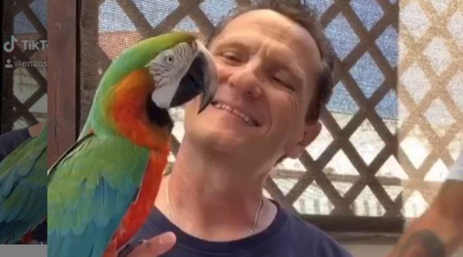 Paura per Enzo Salvi, il suo pappagallo preso a sassate: trauma cranico e aggressione, ecco cosa è successo preview