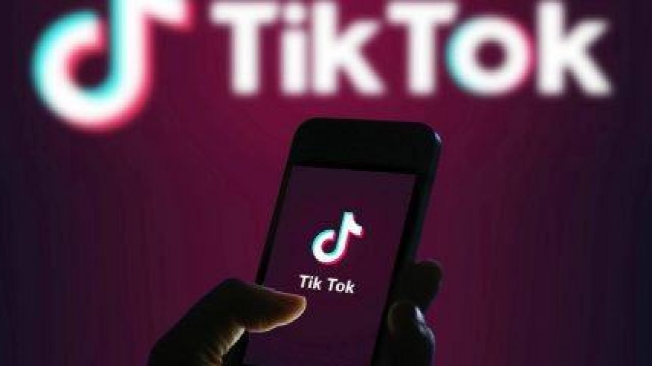 Star di TikTok contro il governo