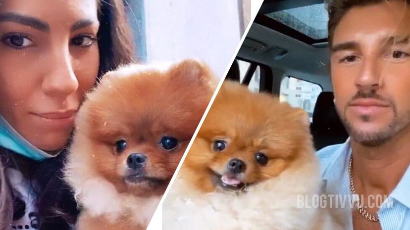 Giulia De Lellis e Damante si sono incontrati per Tommy: “Noi ci vogliamo bene” (VIDEO) preview