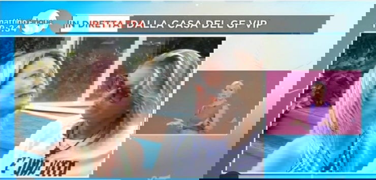 “Hanno bisogno di me”, Flavia Vento piange al Grande Fratello Vip (VIDEO) preview