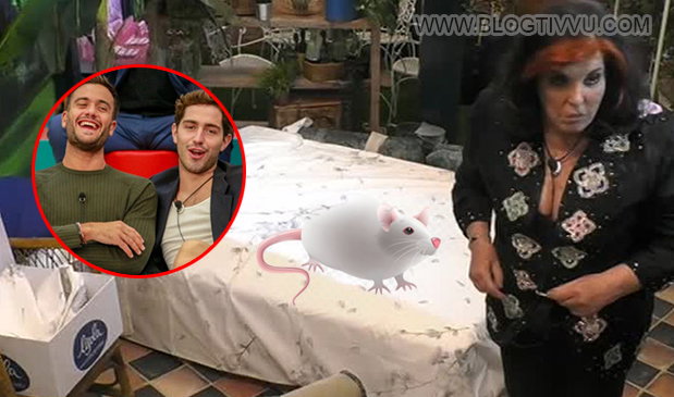 GF Vip, topi nella camera di Patrizia De Black? Zorzi e Pierpaolo vuotano il sacco (VIDEO) preview