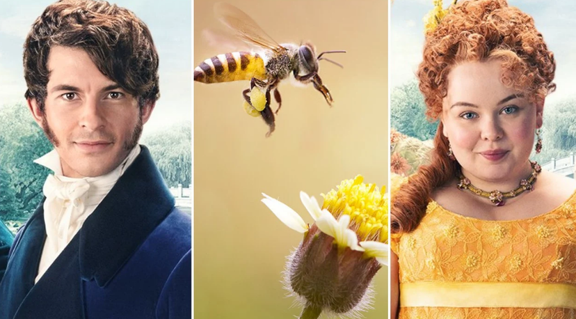 Perché nell’ultima scena di Bridgerton c’è l’ape? Il significato e la seconda stagione preview