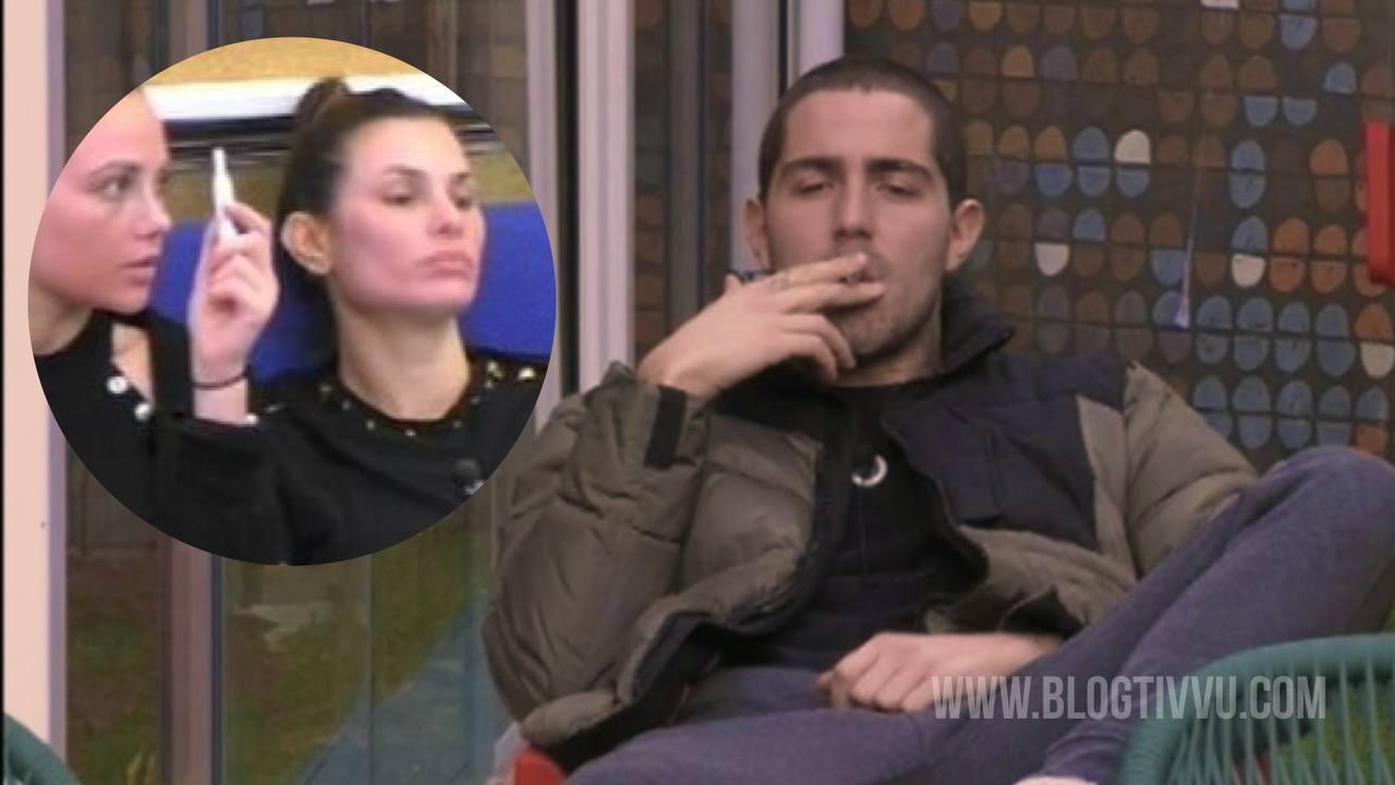Dayane Mello e la frase infelice su Tommaso Zorzi