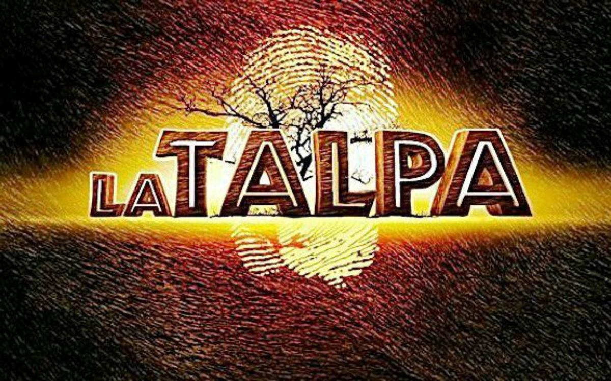 La Talpa torna in Italia dopo 13 anni? Netflix ha acquistato i diritti del reality: tutti i dettagli article-post
